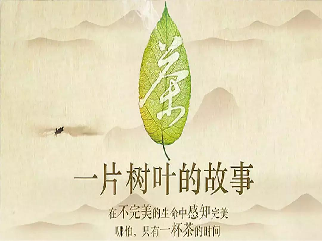 中国的传统茶文化，何乐而不为这么一说，是不是心动吗？